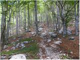 Planina Polog - Planina Dobrenjščica